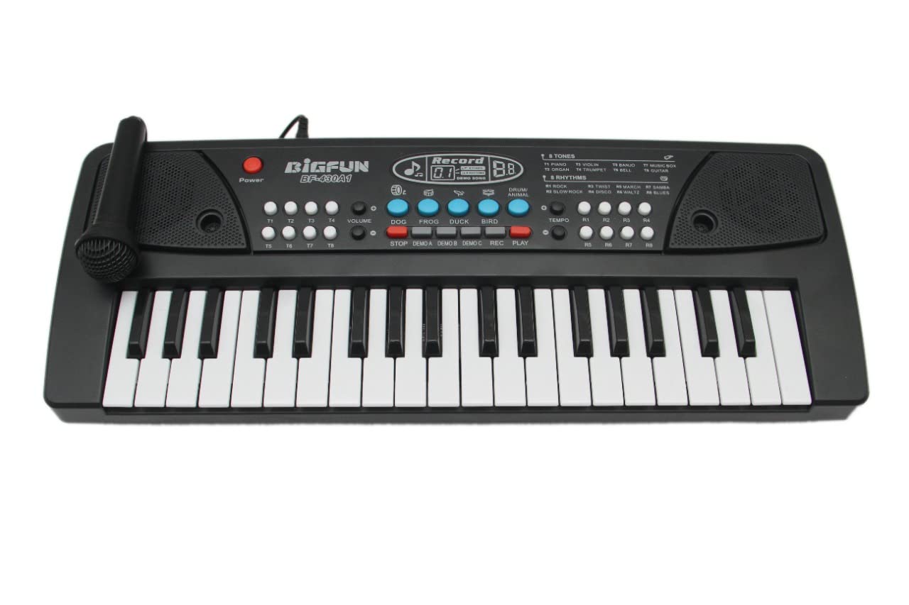 8 rhythms, 8 tones, and 6 demos of the educational piano toy